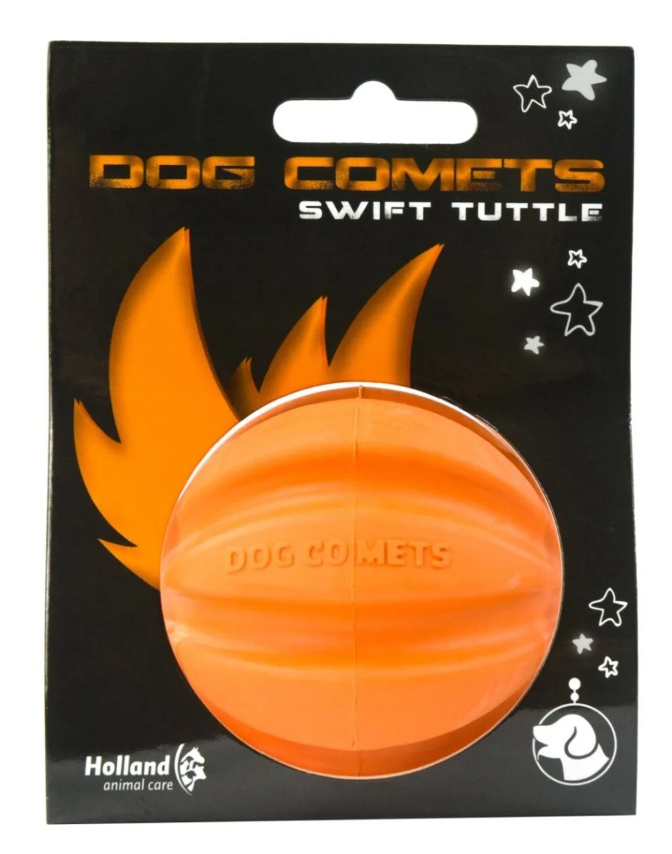 Dog Comets Swift Tuttle - Image 2