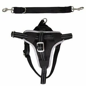 Dog Protect Sikkerhedssele, Xl: 80–100 Cm/25 Mm, Sort