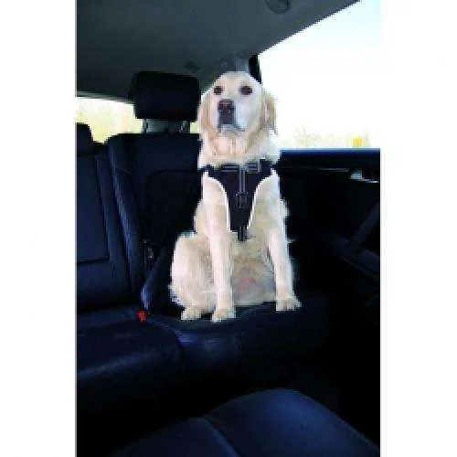 Dog Protect Sikkerhedssele, Xl: 80–100 Cm/25 Mm, Sort - Image 2