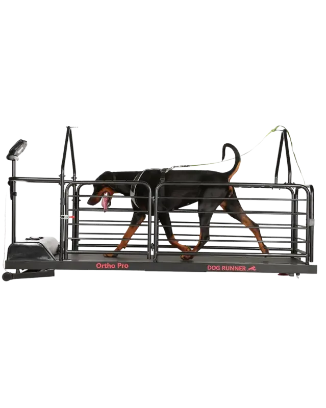 Dog Runner – Ortho Pro