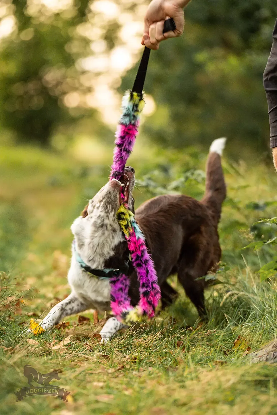Doggie-Zen Agilitykobbel m/dralekestykke leopard rainbow 120cm L