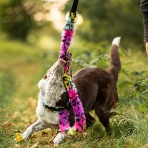 Doggie-Zen Agilitykobbel m/dralekestykke leopard rainw 120cm S