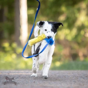 Doggie-Zen Blekksprut draleke med strikk kanin+saue+fuskepels