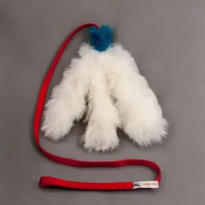 Doggie – Zen Blekksprutjaktleke