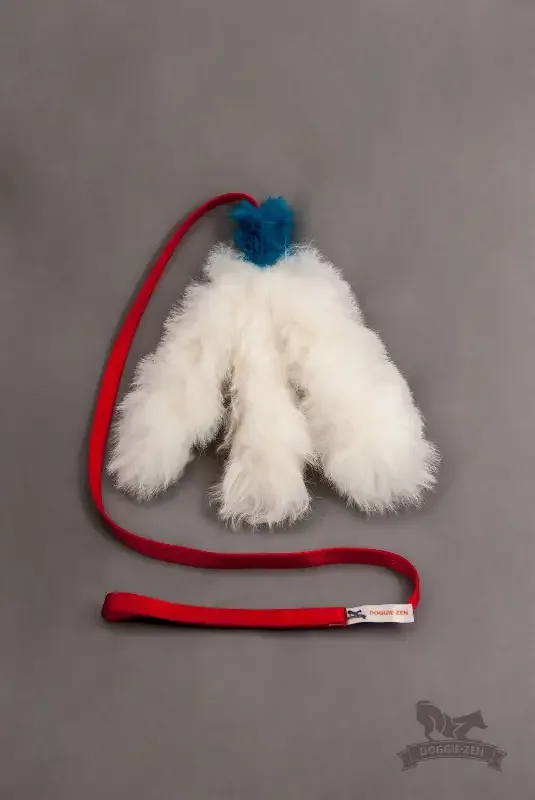 Doggie – Zen Blekksprutjaktleke