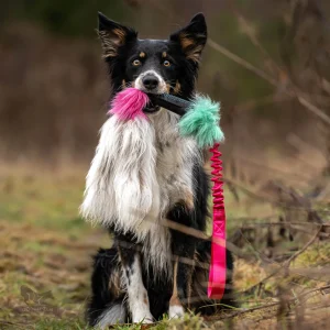 Doggie-Zen draleke blekksprut med sauepels med strikk og pip