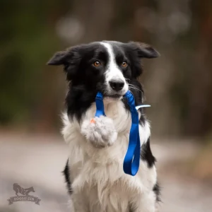 Doggie-Zen draleke Chuckit Breate-ball kanin & fleece L med strikk & pip