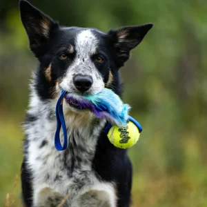 Doggie-Zen draleke fuskepels med Kong Air Squeezeball og lomme