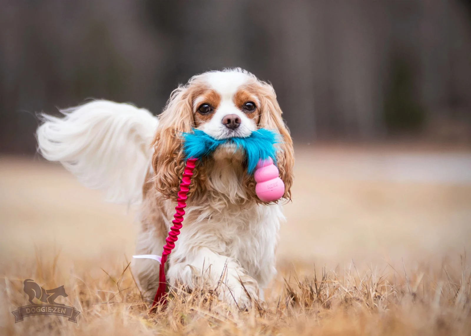 Doggie-Zen draleke fuskepels med Kong Puppy S med strikk - Image 2