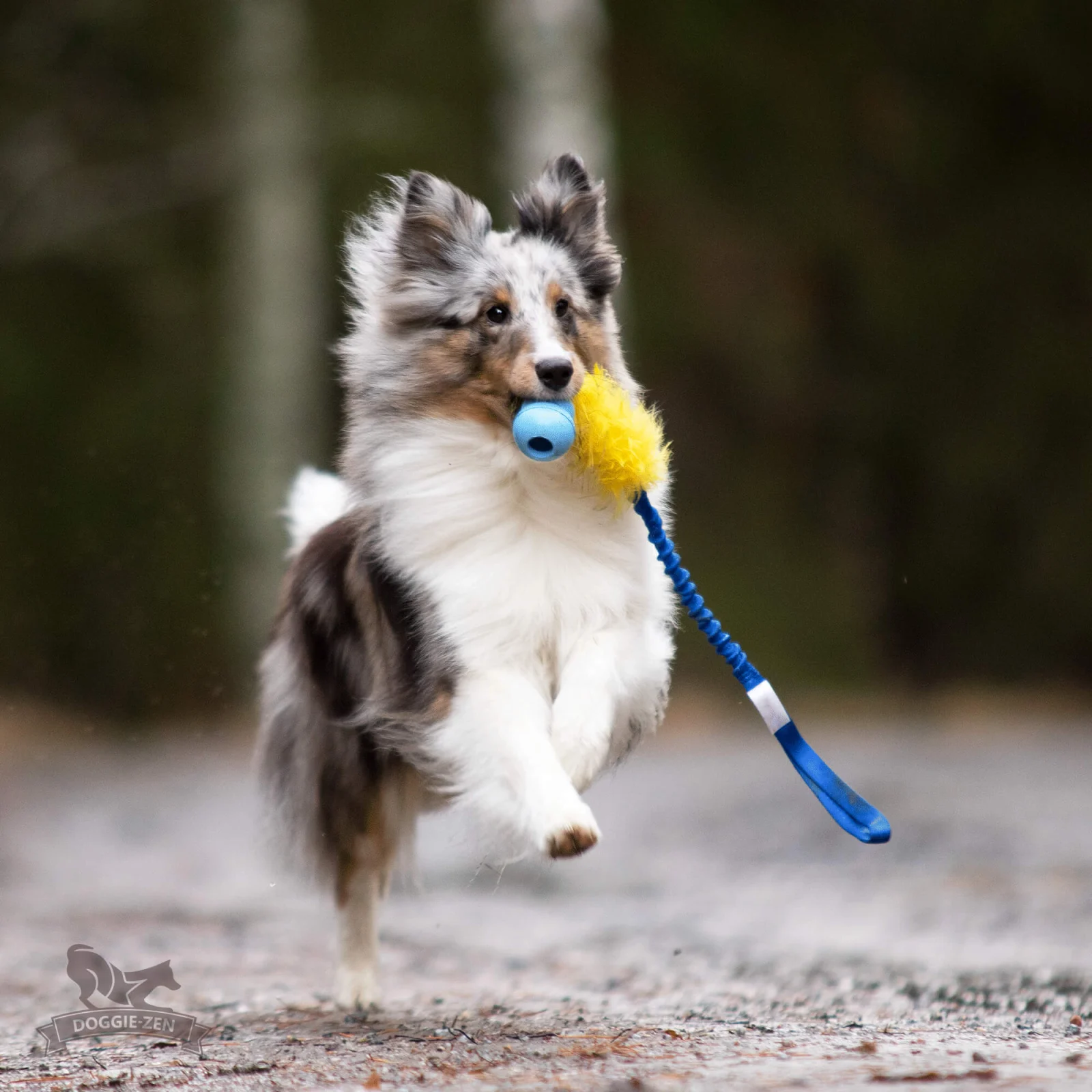 Doggie-Zen draleke fuskepels med Kong Puppy S med strikk