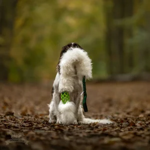 Doggie-Zen draleke Hol-ee Comet Chaser L med strikk & sauepels