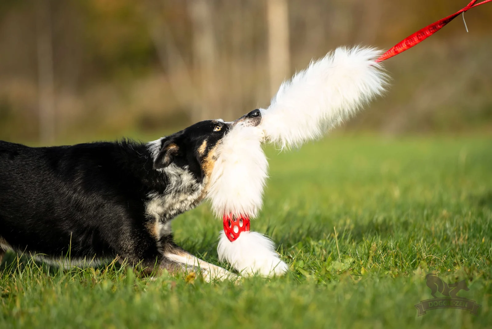 Doggie-Zen draleke Hol-ee Comet Chaser L med strikk & sauepels - Image 2