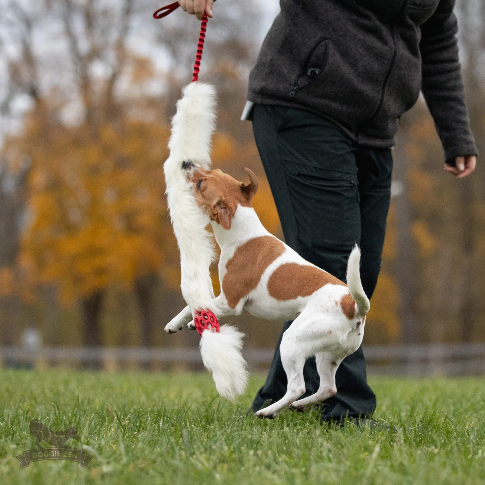 Doggie-Zen draleke Hol-ee Comet Chaser S med strikk & sauepels - Image 2