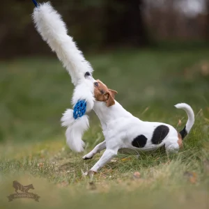 Doggie-Zen draleke Hol-ee Comet Chaser S med strikk & sauepels