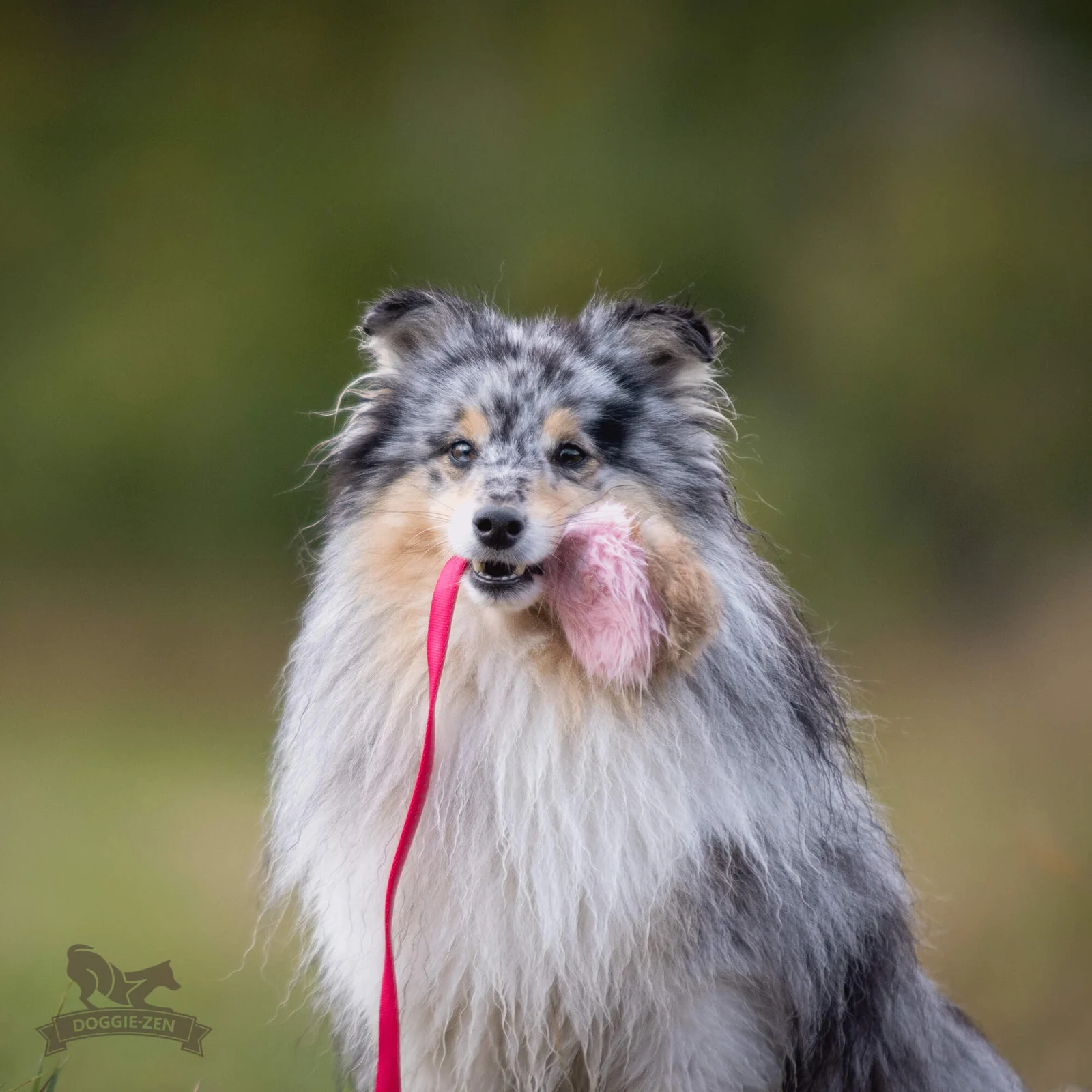 Doggie-Zen draleke kanin med pip S - Image 2