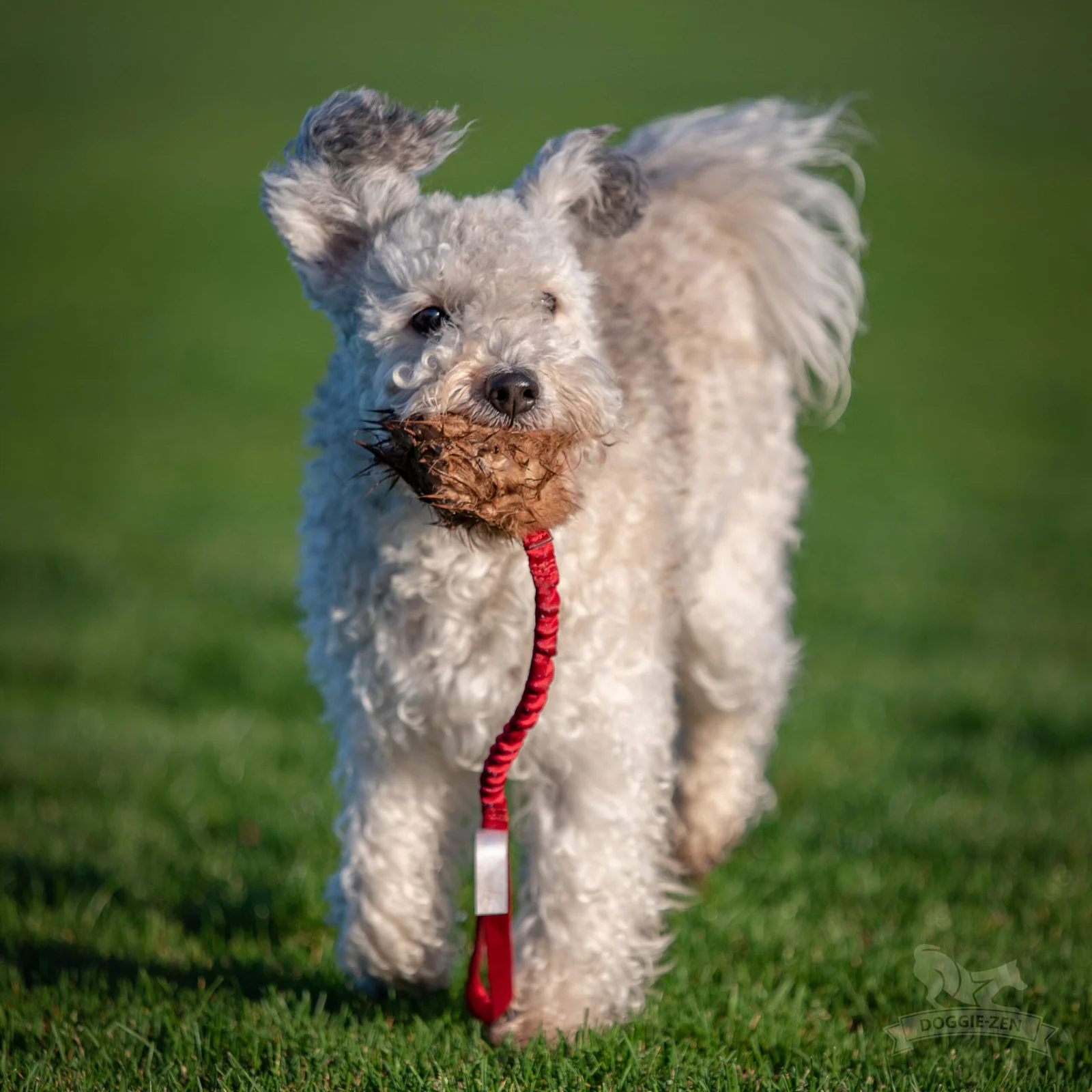Doggie-Zen draleke kaninball m/strikk - Image 2