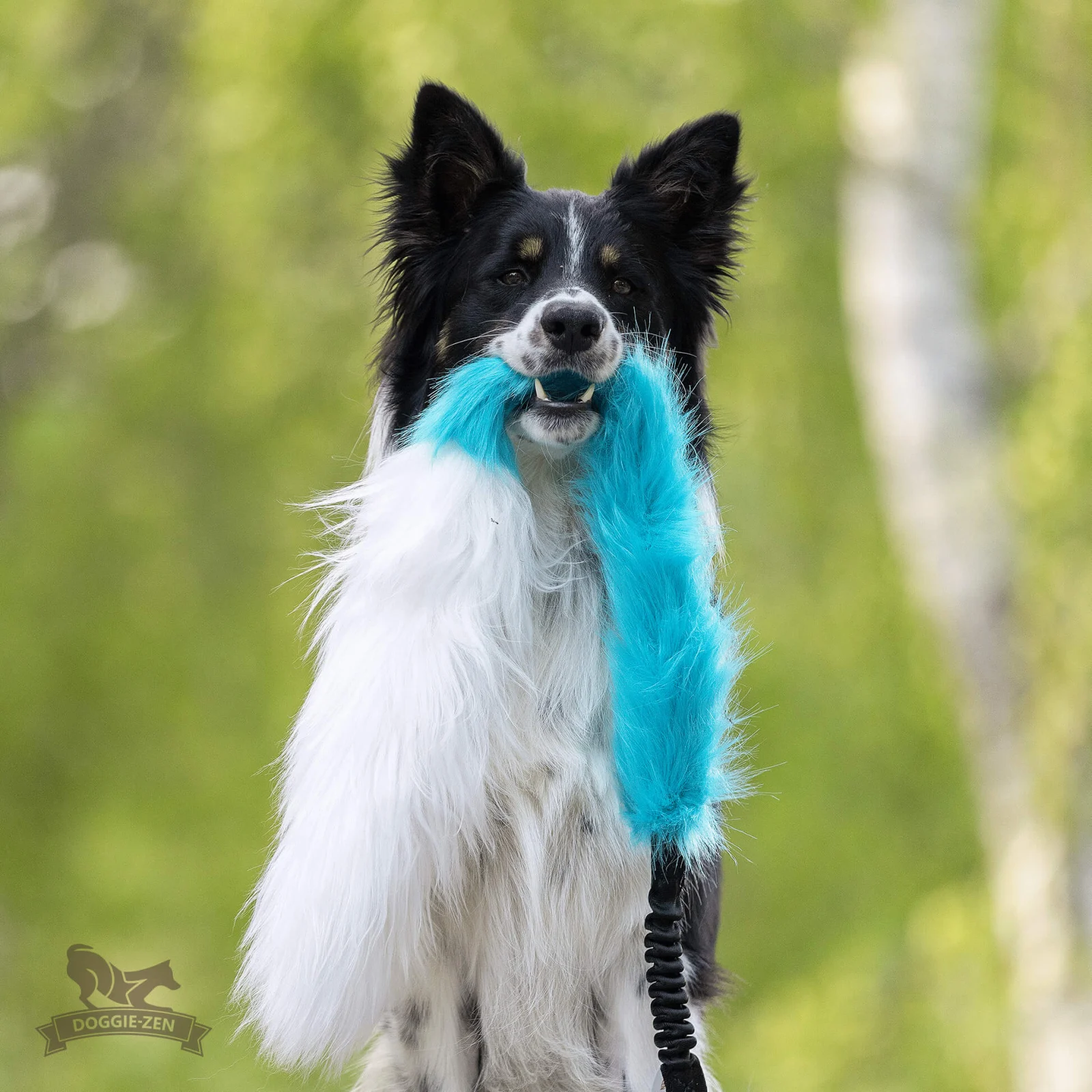 Doggie-Zen draleke med fuske- og sauepels og strikk - Image 2