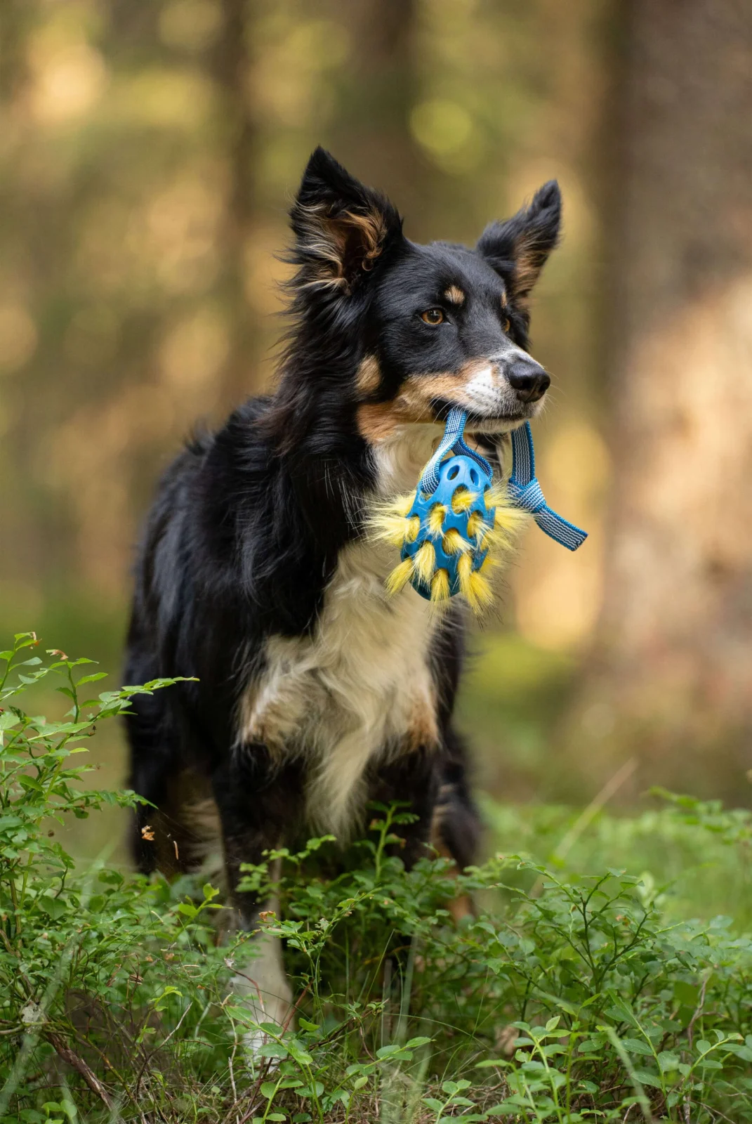 Doggie-Zen draleke Super Grip Hol-ee Football med fuskepels og pip - Image 2