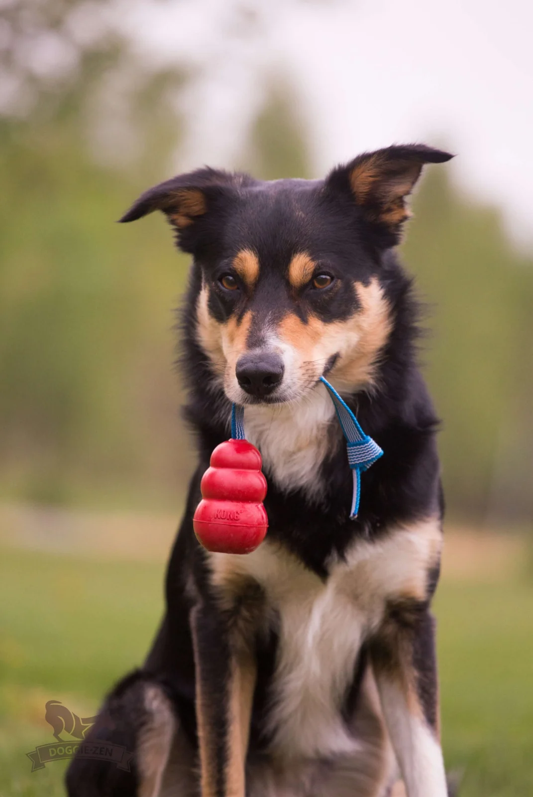 Doggie-Zen draleke Super Grip KONG Classic M - Image 2