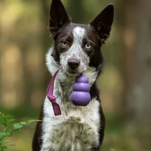 Doggie-Zen draleke Super Grip KONG Senior M