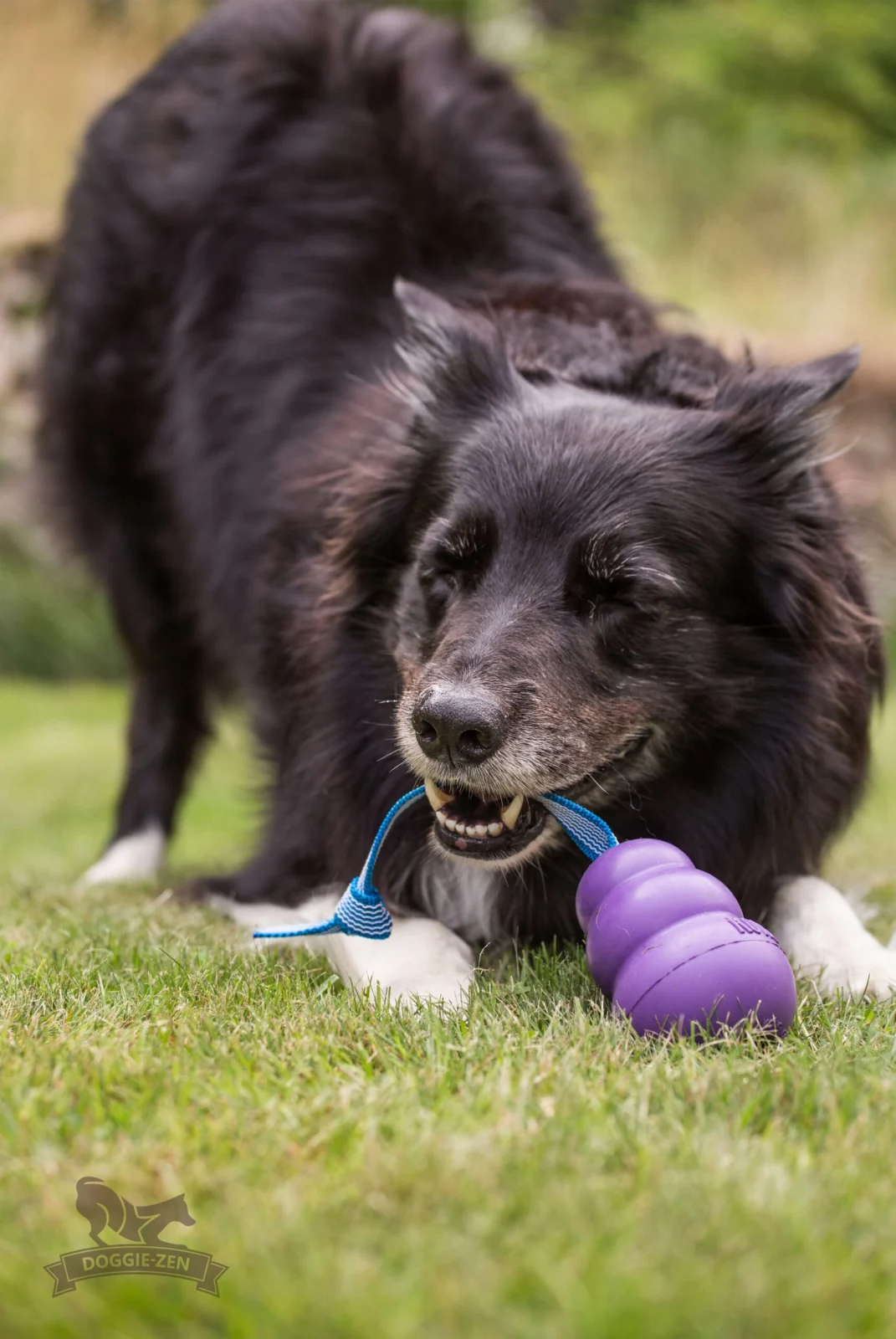 Doggie-Zen draleke Super Grip KONG Senior M - Image 2