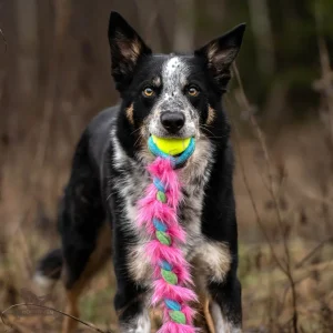 Doggie-Zen fleece- og fuskepelsflette med KONG Air pipeball M