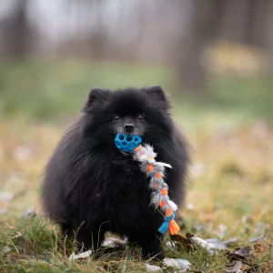 Doggie-Zen Fleece- og kaninpelsflette med Hol-ee Roller & pipp XS 20cm