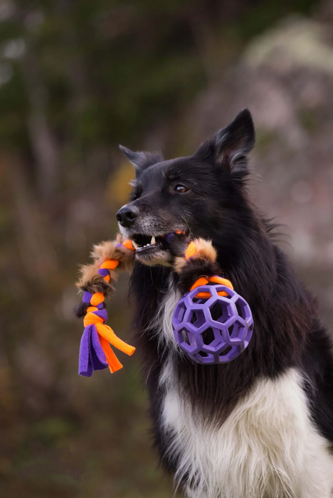 Doggie-Zen Fleece- og kaninpelsflette med Hol-ee Roller S m/prassel i ball - Image 2