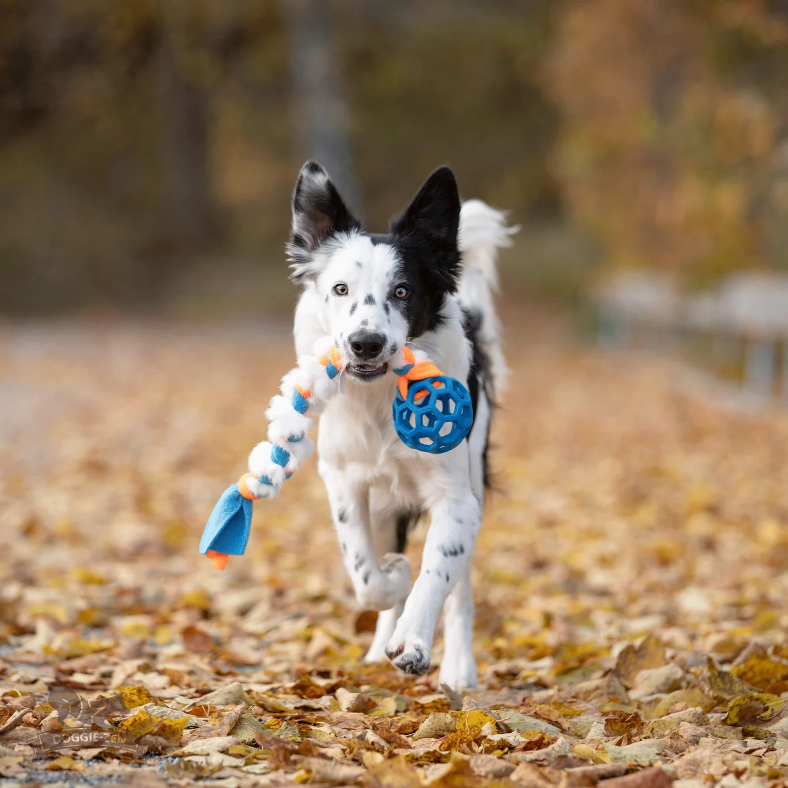 Doggie-Zen Fleece- og kaninpelsflette med Hol-ee Roller S m/prassel i ball