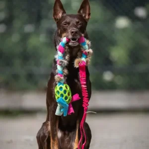 Doggie – zen Hol-ee fleeceflette