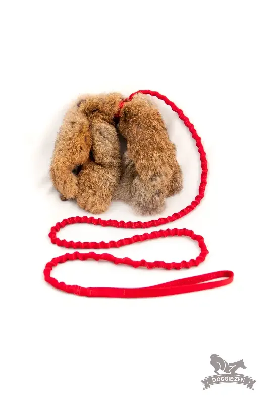 Doggie – Zen Jaktleke kaninskinn
