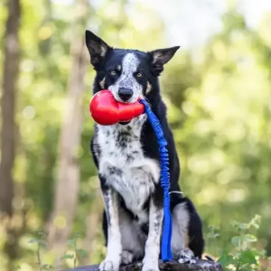 Doggie – Zen Kampleke bouncer kort håndtak