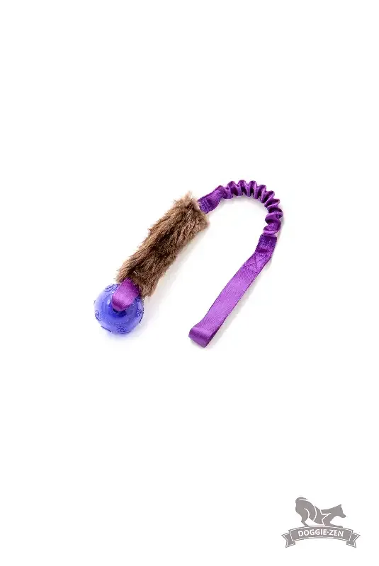 Doggie – Zen Kampleke m/ball