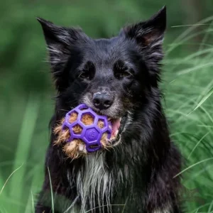 Doggie-Zen kaninpelspip til Hol-ee baller Mini