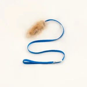 Doggie – Zen Liten draleke med rev