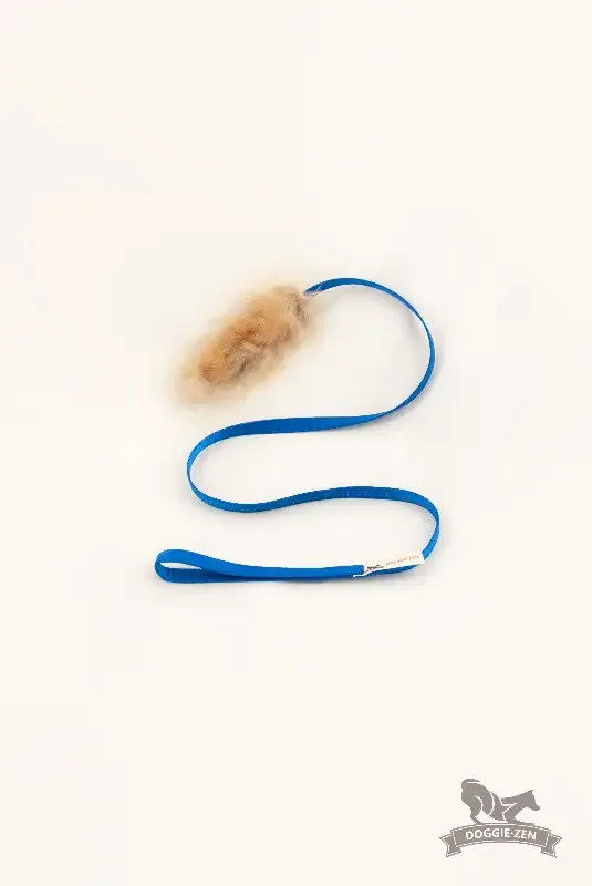 Doggie – Zen Liten draleke med rev