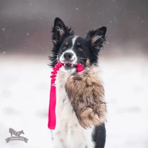 Doggie-zen Mårhund Kamp Leke L