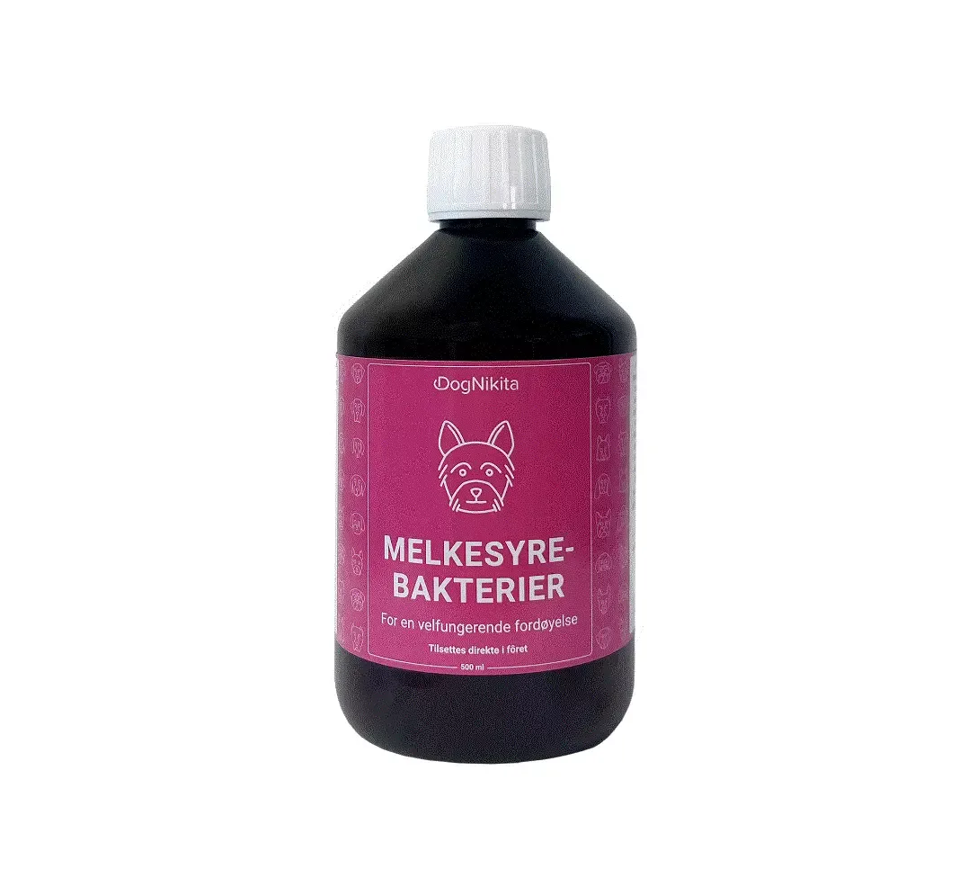 DogNikita, Melkesyrebakterier, 500ml.