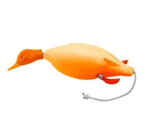 Dokkens Oransje And