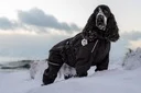 Doodle Coat Black Medium (45cm) - Image 2