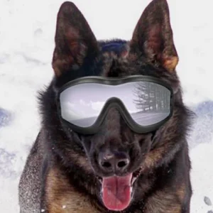 DOOGLES – Snø og solbriller for medium til store hunder