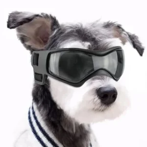 DOOGLES – Snø og solbriller for små hunder.