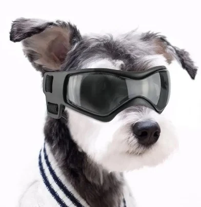 DOOGLES – Snø og solbriller for små hunder.