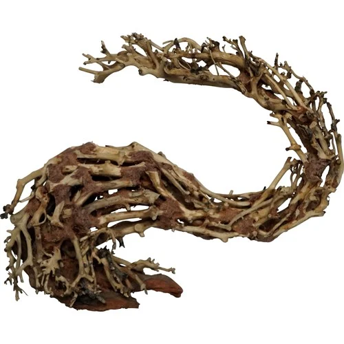 DRAGONHEAD 4Fish, Trerot, 30x13x23cm.