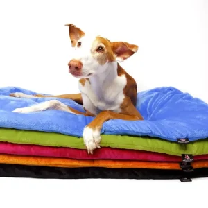 DRAGON’S pillow hundeseng