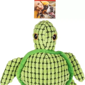 Dt Ceano Turtle Green(3)