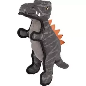 DT Strong stuff Dinosaur (3)