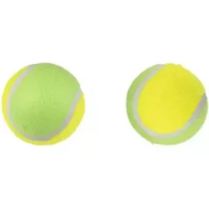 DT TENNIS BALL + SQUEAKER 2 COLOURS 8CM 2PCS (4)