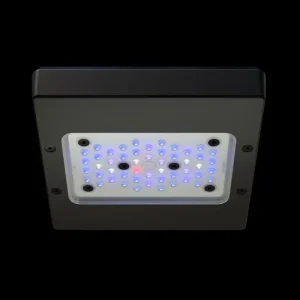 Ecotech Radion XR15 G6 BLUE