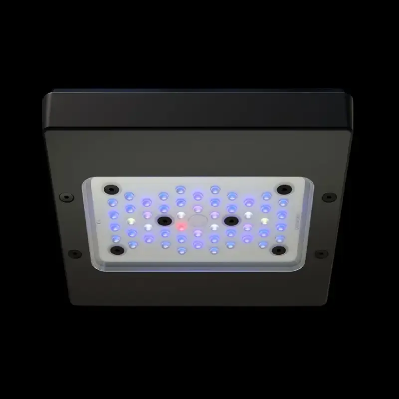 Ecotech Radion XR15 G6 BLUE